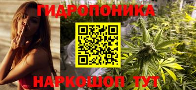винт Тула