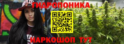стафф Тулун